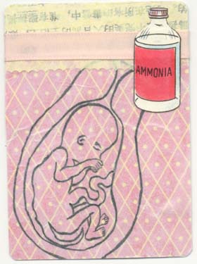 AmmoniaBaby.jpg - April 26 2004
